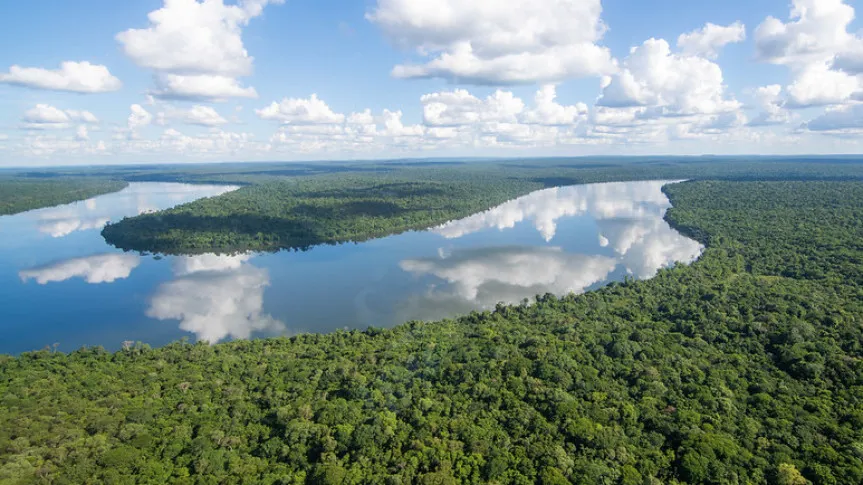 Deputado apresenta projeto na Alep para eliminar espécies invasoras no Rio Iguaçu