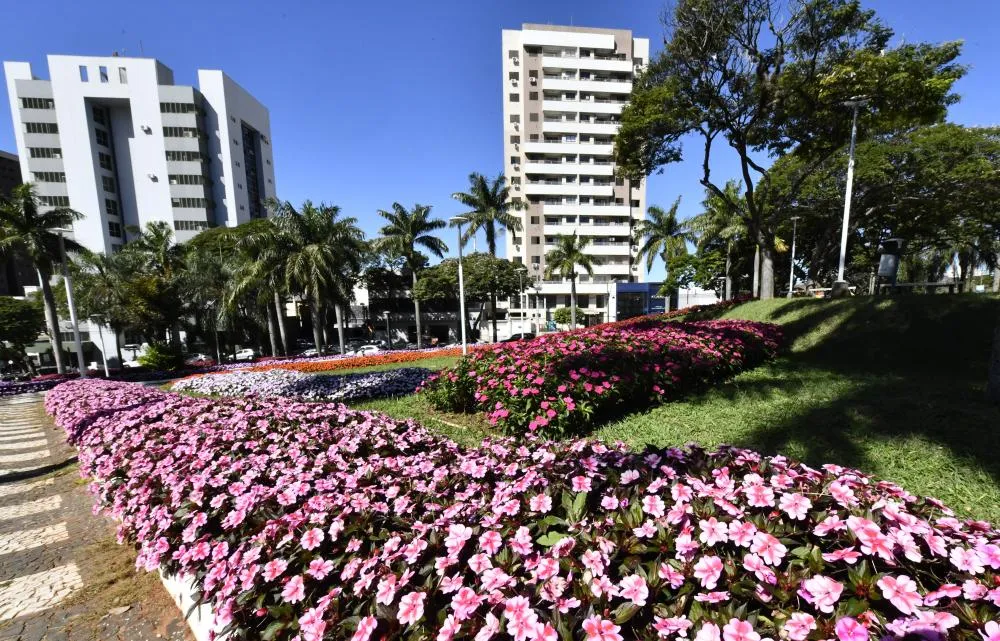 Umuarama segue sendo destaque estadual em beleza urbana com paisagismo nas praças