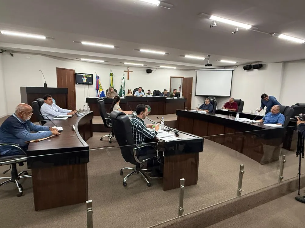 Projeto visa oferecimento de leitos separados para mães de natimorto