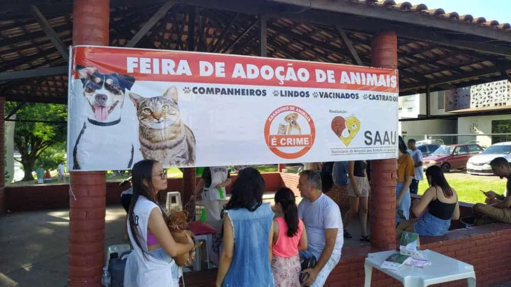 Feira de adoção da Saau busca novos lares para cães e gatos neste domingo