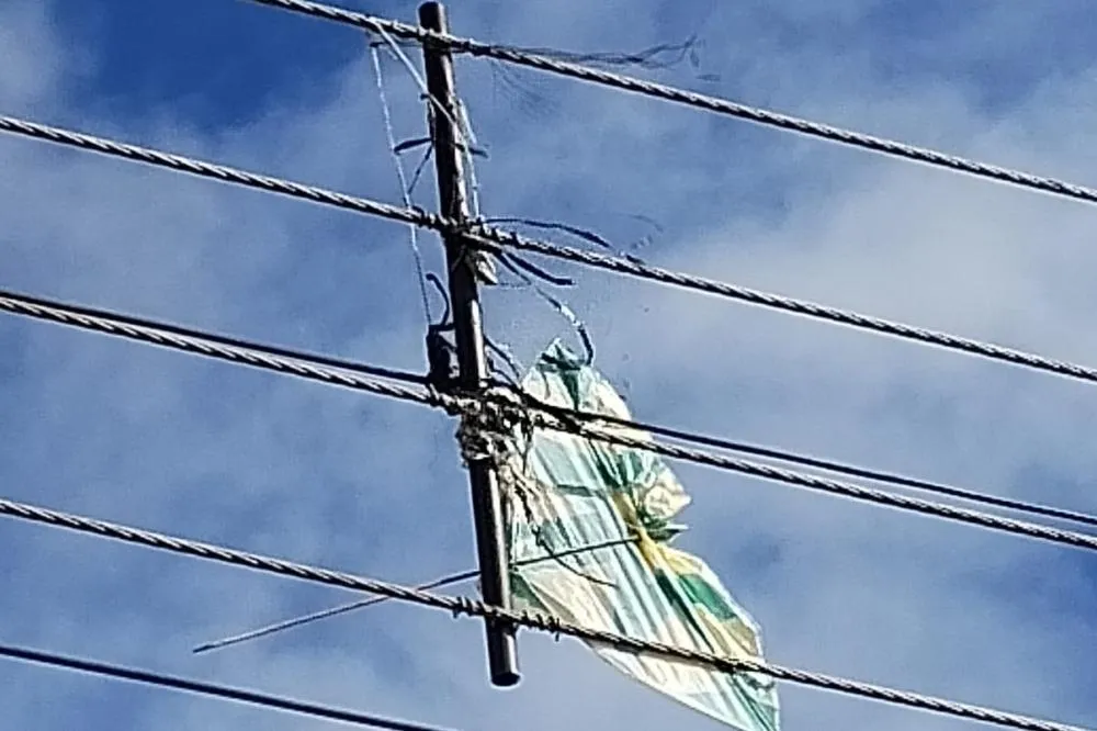 Proibido por lei no Paraná, cerol de pipas corta linhas de energia e põe vidas em risco