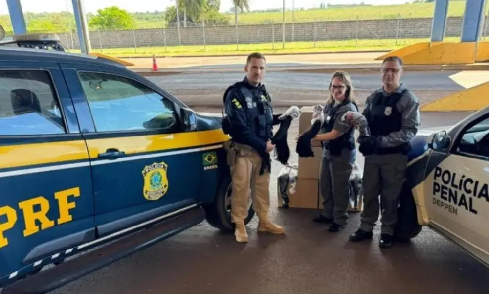 Cabelos apreendidos pela PRF serão transformados em próteses para pacientes com câncer