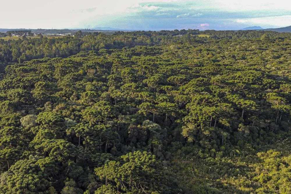 Governo do Estado propõe projeto para regularização de dívidas ambientais e de ICMS