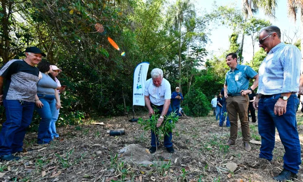 Plantio de 350 mudas nativas em Umuarama marca a Semana da Árvore