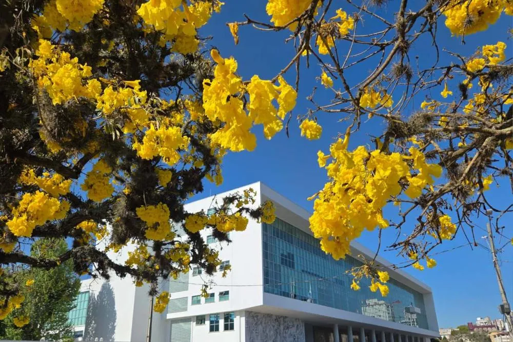 Primavera começa hoje com temperaturas altas; estação terá tempestades