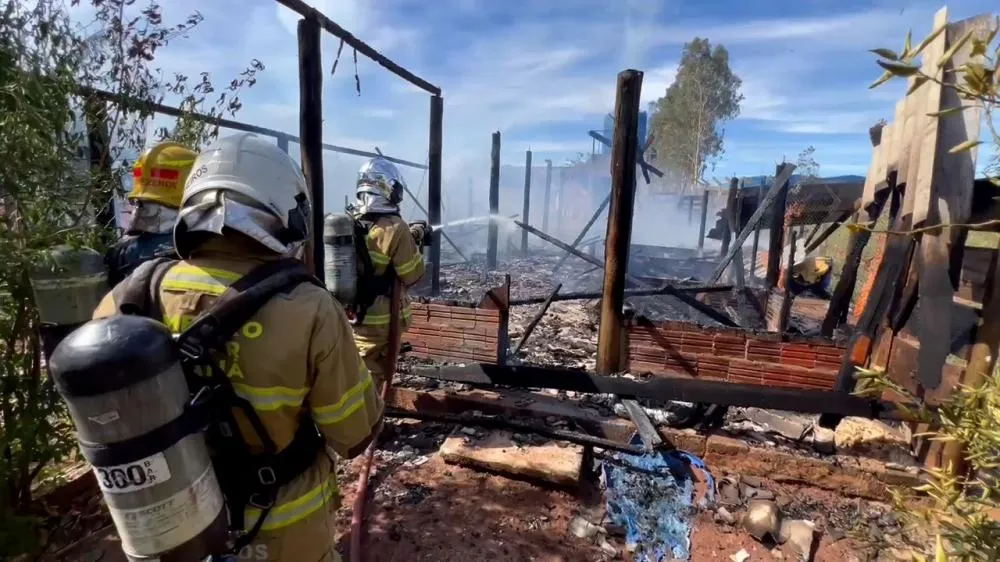 Curto-circuito em chocadeira pode ter sido a causa de incêndio que matou 350 aves em Umuarama