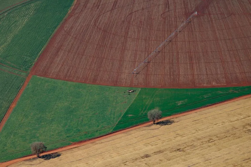 PIB do Paraná cresce acima de países da Europa no 1º semestre do ano