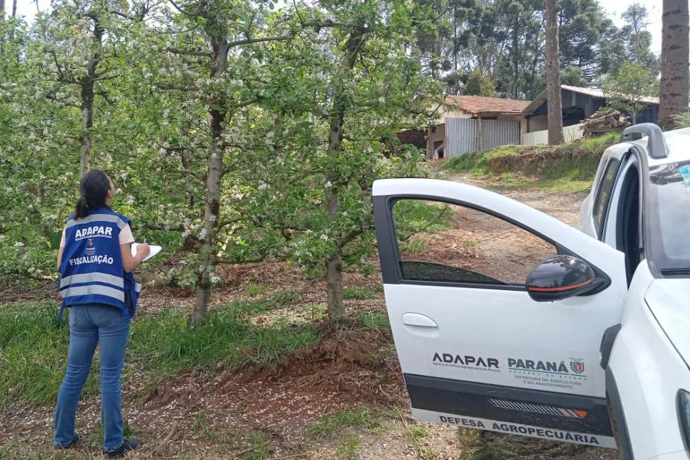 Adapar anuncia concurso com 57 vagas; salários chegam a R$ 8,4 mil