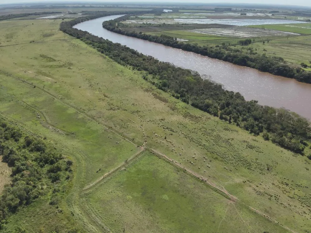 Propriedade onde foram encontrados os corpos dos quatro desaparecidos em Icaraíma é embargada