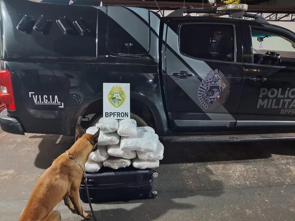 BPFron de Umuarama prende homem com mais de 16 kg de maconha em ônibus interestadual