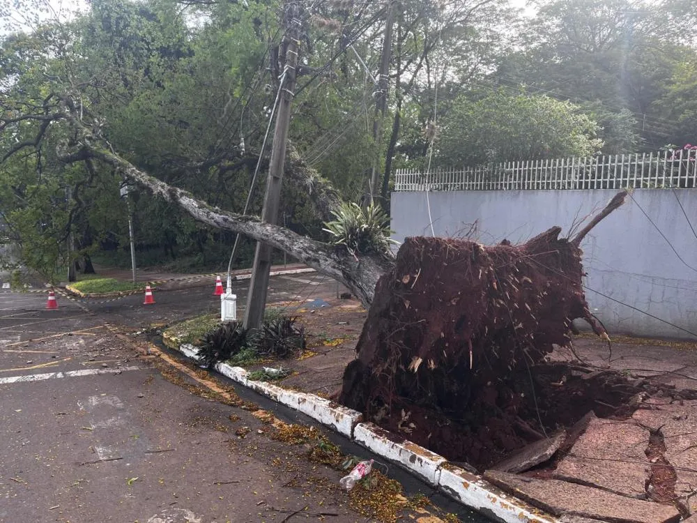 Rajadas de quase 80 km/h provoca estragos e interdita cruzamento no centro de Umuarama