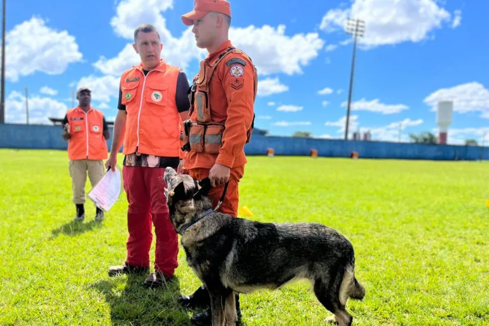Em Cianorte, Corpo de Bombeiros realiza 2ª certificação nacional de cães de resgate