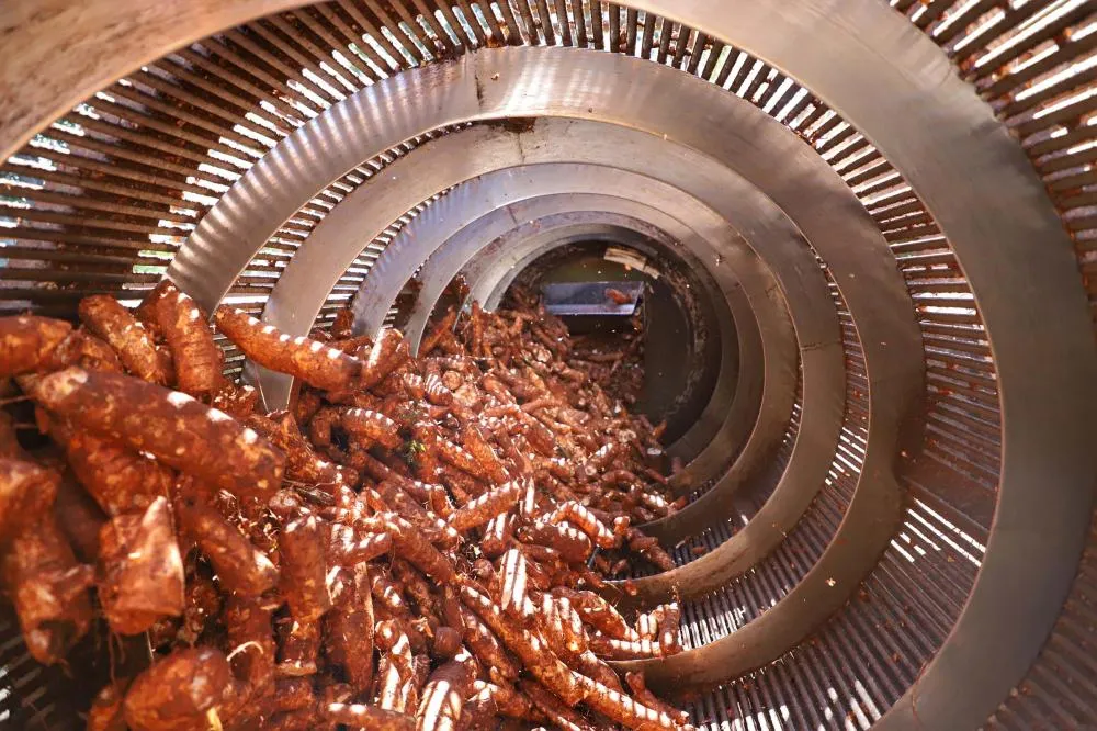 José Fernando Ogura/Arquivo AEN