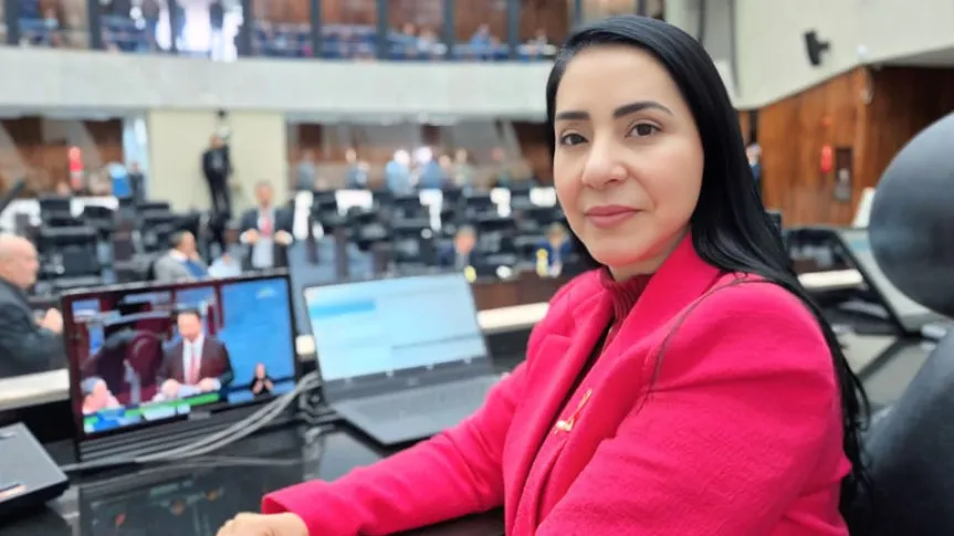 Comissão de Defesa dos Direitos da Mulher consolida avanços legislativos e audiências públicas em 2025