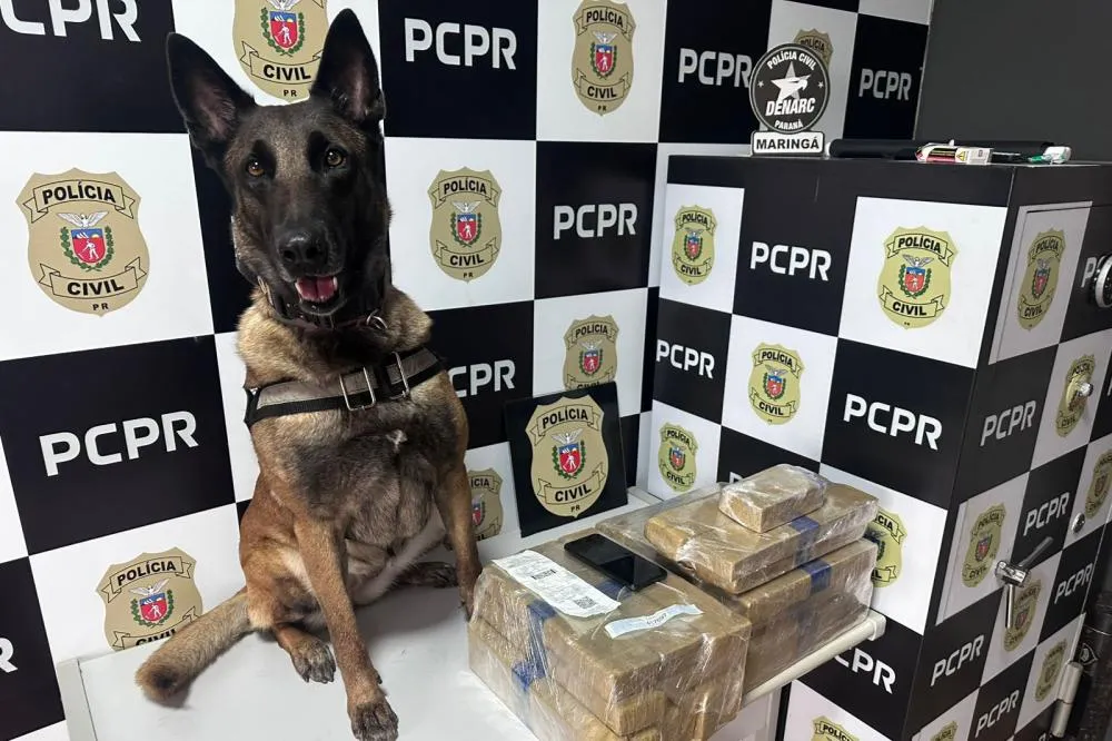 Passageiros aplaudem ação com cão que apreendeu drogas na rodoviária de Maringá