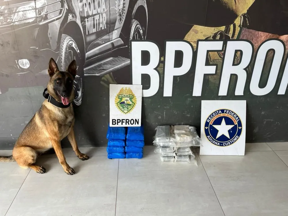 Cão farejador revela quase 20 quilos de drogas escondidos em carro na PR-323