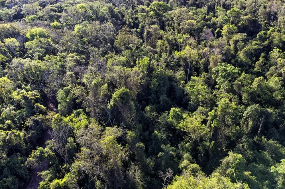 Denis Ferreira Netto/SEDEST