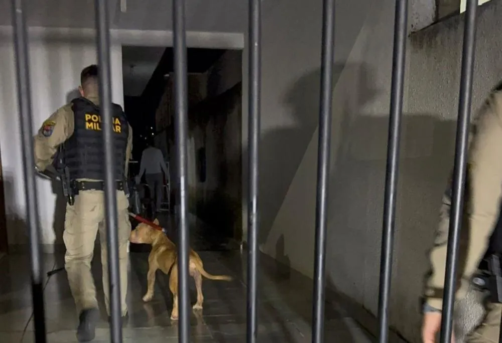 Jovem é atacada por pit bull ao chegar do trabalho e polícia intervém para evitar tragédia em Umuarama