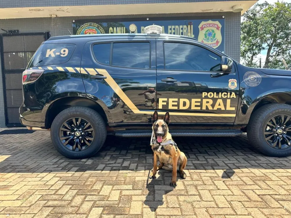 Reforço ao canil amplia atuação integrada da PF na fronteira e no Noroeste do Paraná