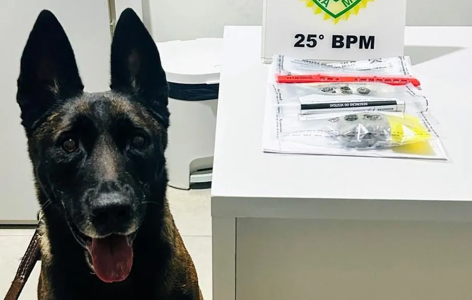 Cão Átila auxilia Polícia Militar e mulher é detida com drogas no Lago Aratimbo