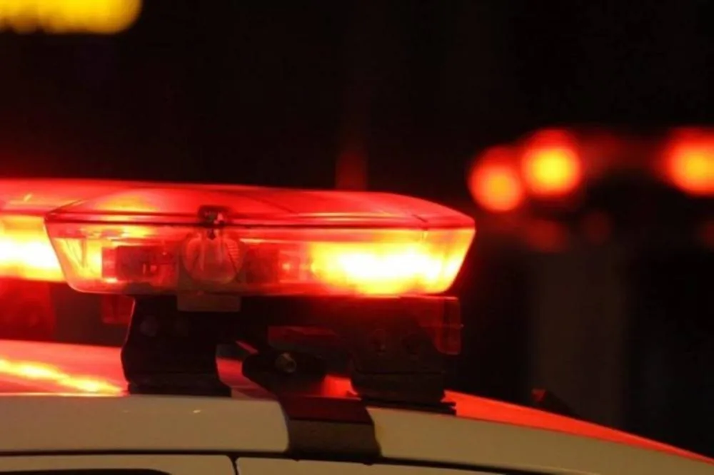 Cão resgatado em estado crítico revela abandono e leva responsável à delegacia em Altônia