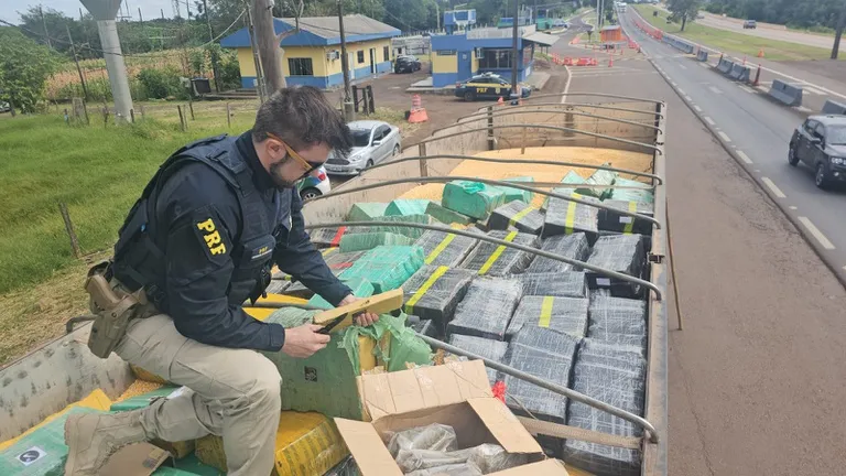 Maior apreensão do ano: PRF intercepta mais de 5 toneladas de maconha no Paraná