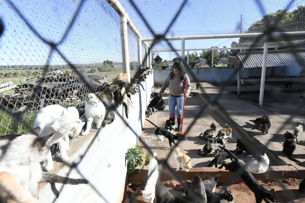 Prefeitura de Umuarama assegura o repasse de R$ 840 mil à Saau em recursos próprios