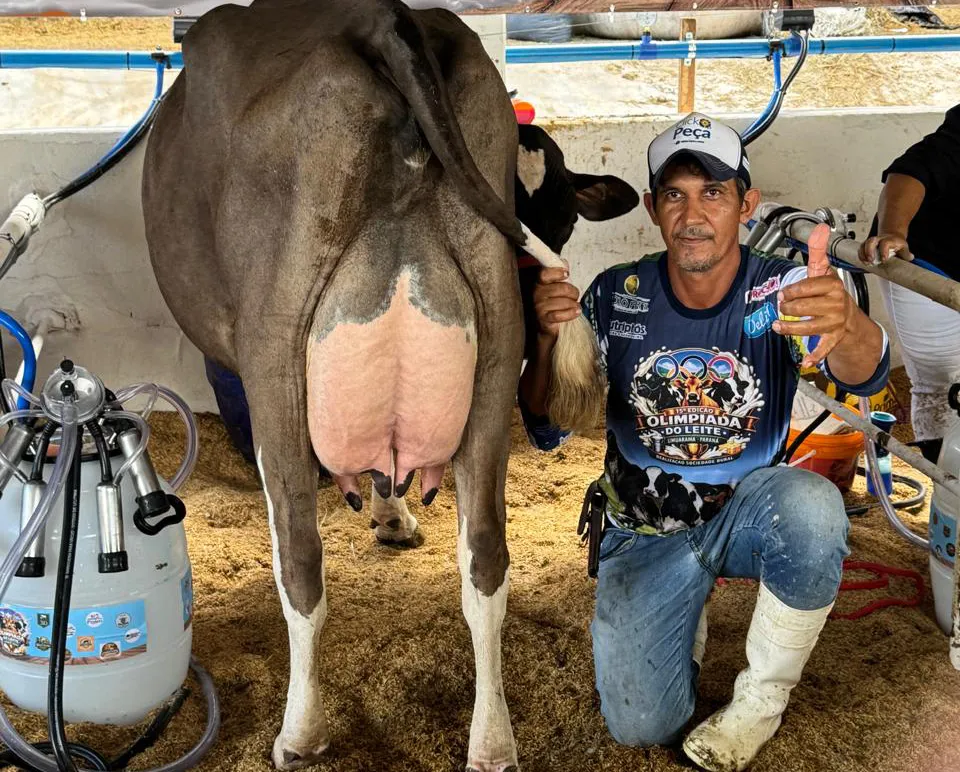 Dedicação e parceria garantem produção leiteira ativa em propriedade