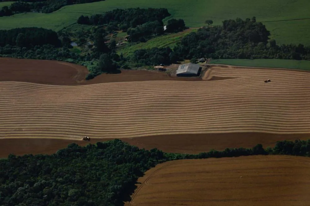 Safra de verão da soja no Paraná caminha para o fim com 82% já colhida