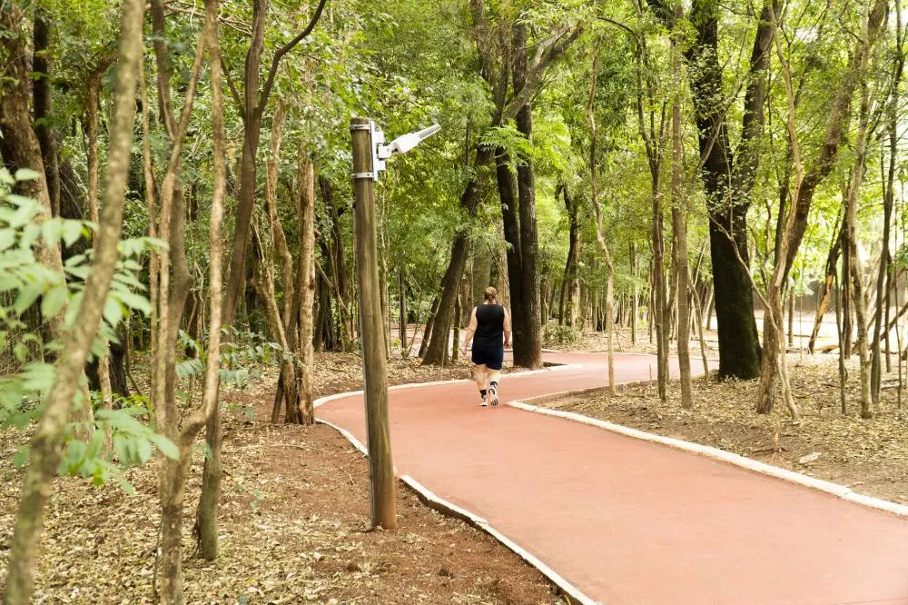 Luminárias recém-recuperadas no Bosque Uirapuru têm fiação cortada