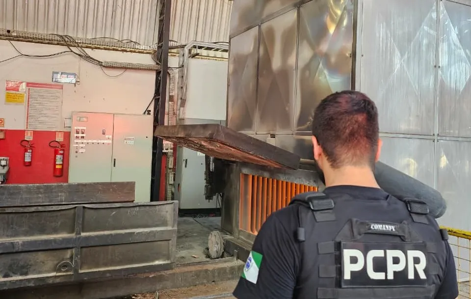 Polícia Civil incinera 10 quilos de drogas e reforça ofensiva contra o tráfico no Noroeste