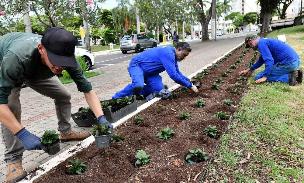 Plantio de flores avança por praças e logradouros públicos de Umuarama