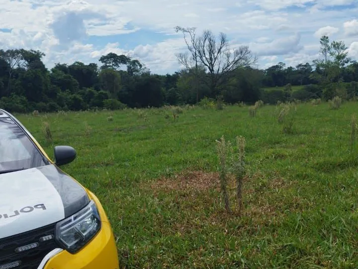 Corpo em decomposição é encontrado em propriedade rural de Altônia