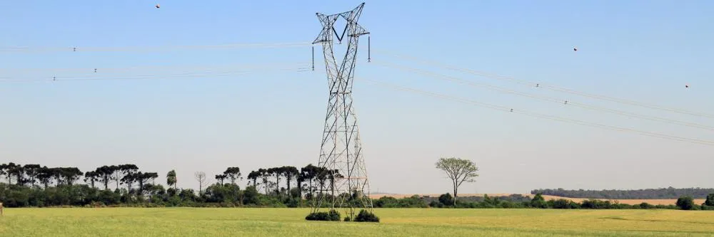 Copel cria canal exclusivo para produtor rural após articulação do Sistema FAEP