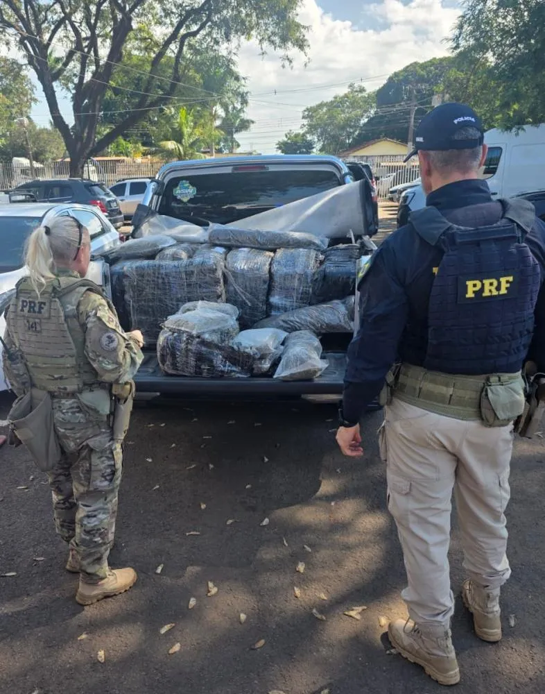PRF apreende quase meia tonelada de skunk após perseguição em Maringá