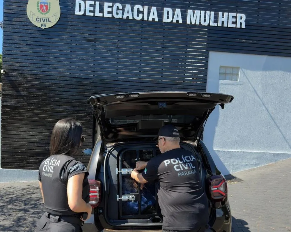 Polícia Civil prende homem por posse de munição durante operação em área rural de Umuarama