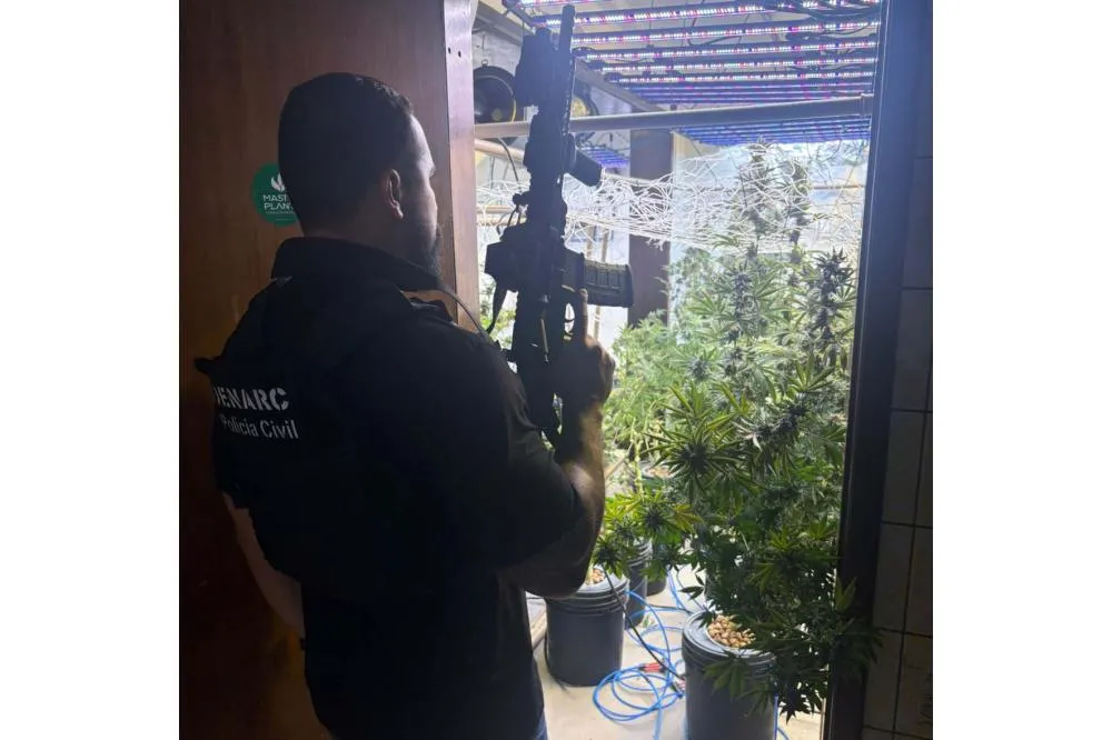Polícia Civil descobre laboratório de maconha e prende três traficante no Paraná