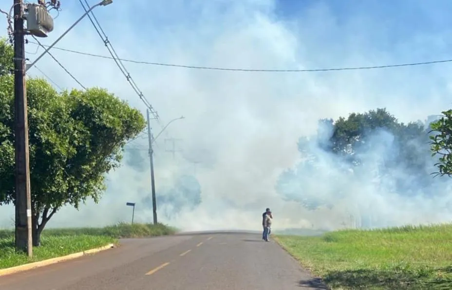 Divulgação 