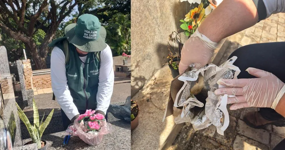 Vigilância Ambiental realiza ação preventiva contra dengue no cemitério de Umuarama