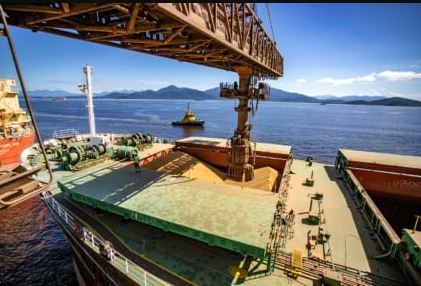 Paraná exporta US$ 9,52 bilhões nos cinco primeiros meses de 2024