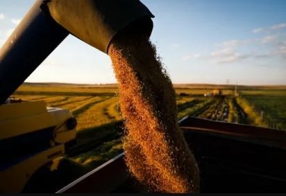 Relatório da Conab confirma: Tem arroz brasileiro suficiente para suprir demanda