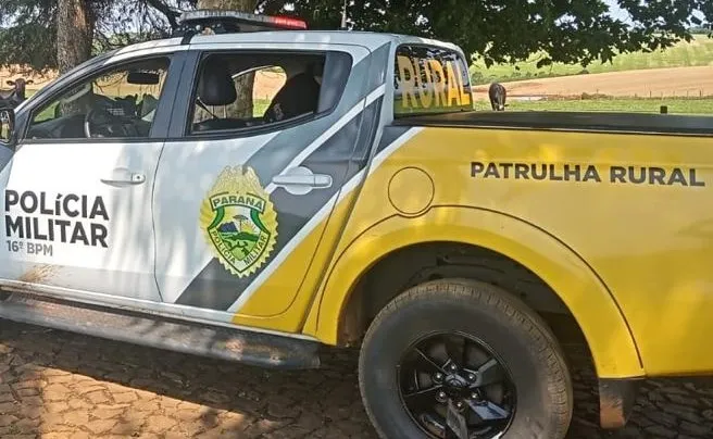 Morador de Cruzeiro do Oeste é preso suspeito de aplicar golpes com cheques falsos na compra de veículos