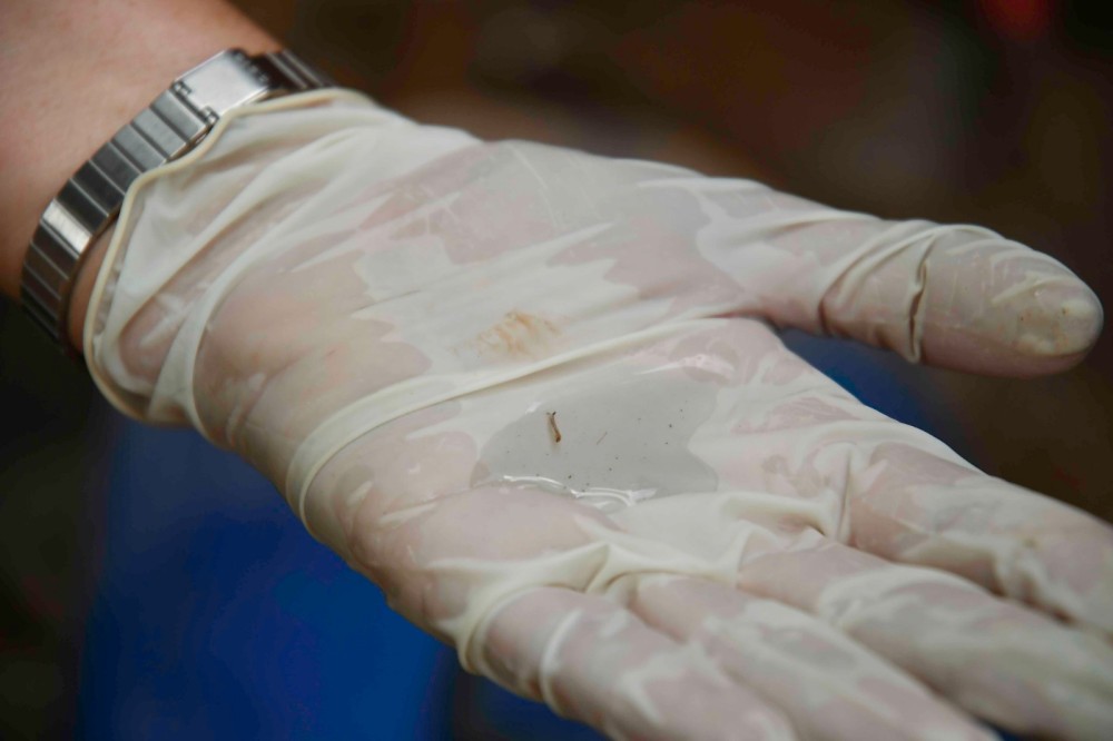 Cidade registra 5ª morte por dengueenquanto o volume de casos diminui