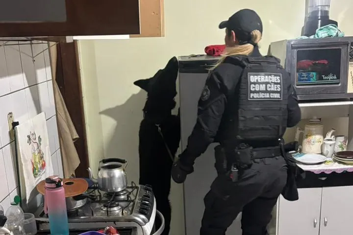 Forças de segurança prendem 21 suspeitos de integrar organização criminosa no Paraná