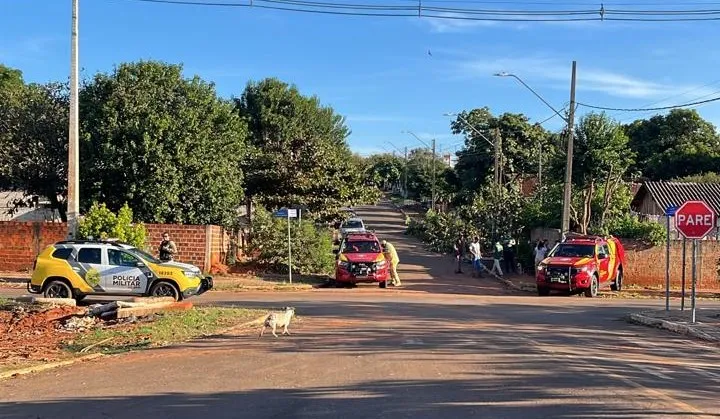 Divulgação