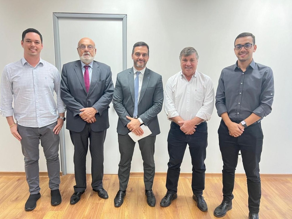 Em Brasília, Pozzobom e secretários se reúnem com deputados e visitam ministérios