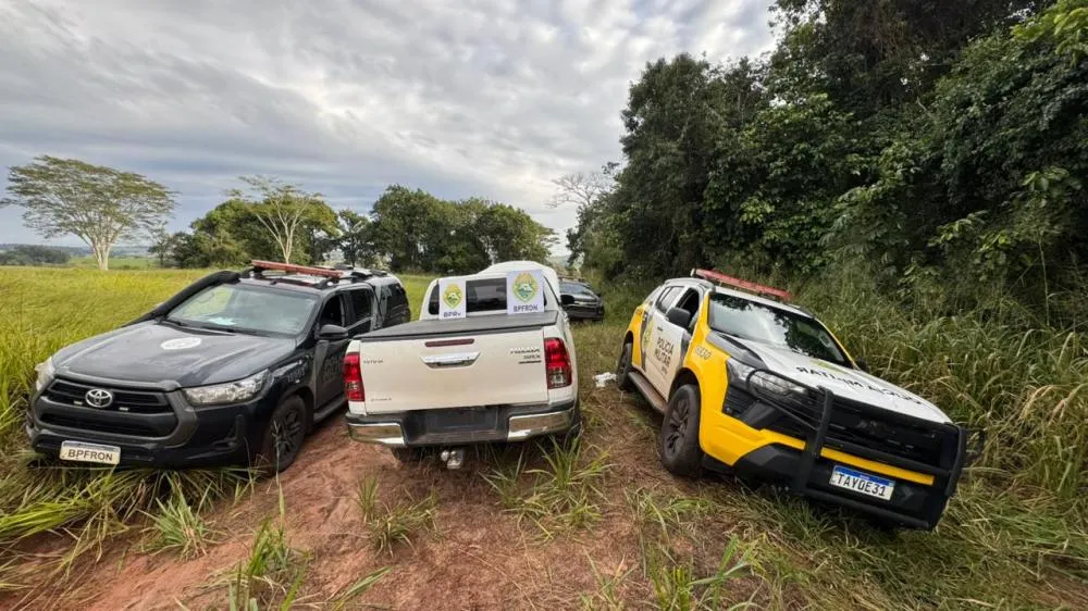 Divulgação