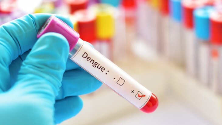 Nenhum caso de dengue confirmado na última semana em Umuarama