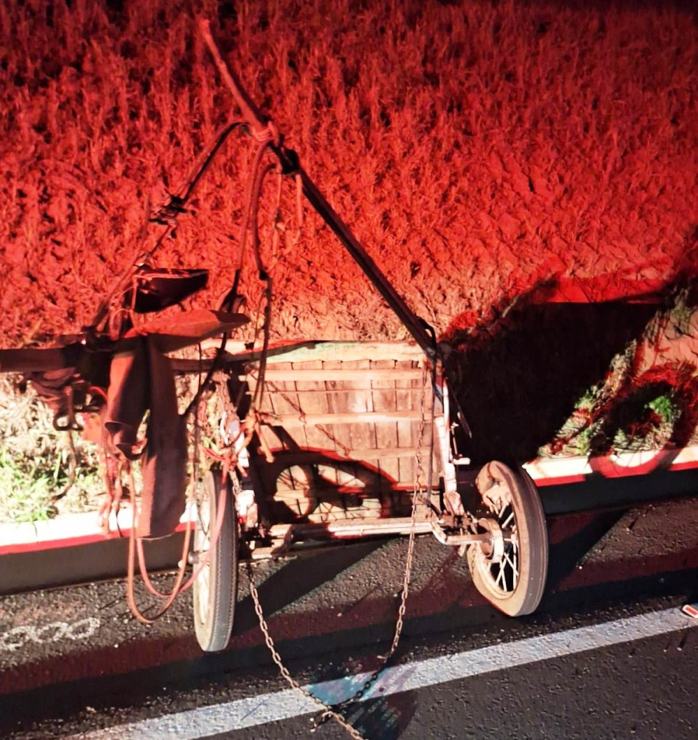 Carroceiro morre em acidente perto de Icaraíma. Ele seguia na Estrada Boiadeira quando foi atingido por uma carreta