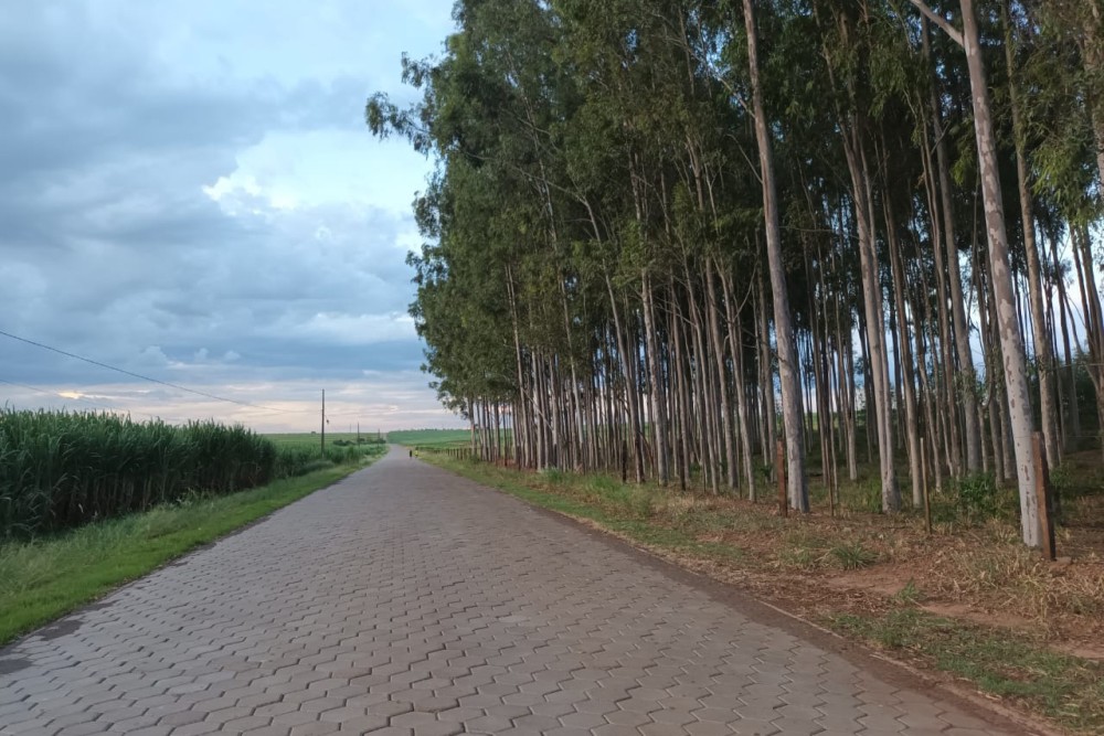 Convênios no 1º semestre para a pavimentação de estradas rurais somam R$ 125 milhões